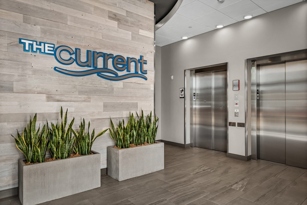 the current office lobby with elevators and potted plants