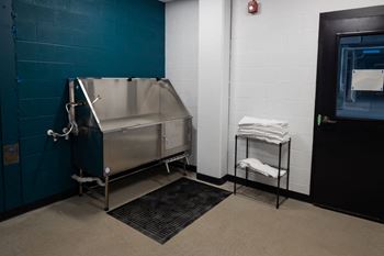 Pet Wash Station at The Landing at 1001 NP, Fargo, ND, 58102