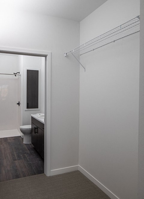 Closet and Bathroom at The Landing at 1001 NP, Fargo, North Dakota, 58102