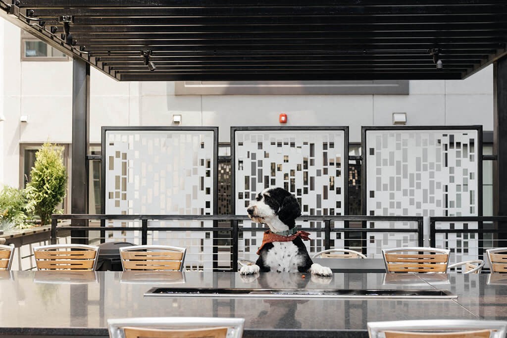 Pet Friendly on the Dillard Patio at Dillard Apartments, Fargo, ND, 58102