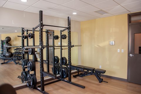 A gym with a squat rack and weights.