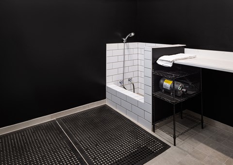 Pet Wash Station at Mercantile on Broadway, Fargo, North Dakota 58102