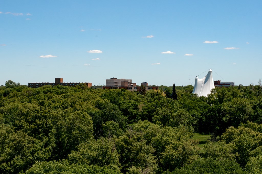a view of the city from the top of a hill