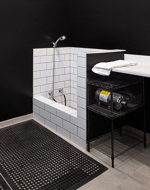 Pet Wash at Mercantile on Broadway, Fargo, North Dakota, 58102