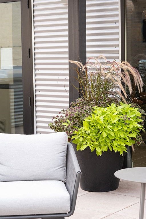 Sofa at Kesler Apartments, Fargo, ND 58102