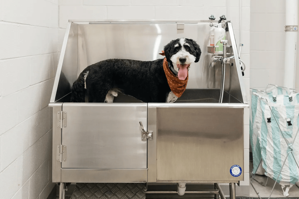 Pet Wash Station at at Dillard Apartments in Fargo, ND 58102