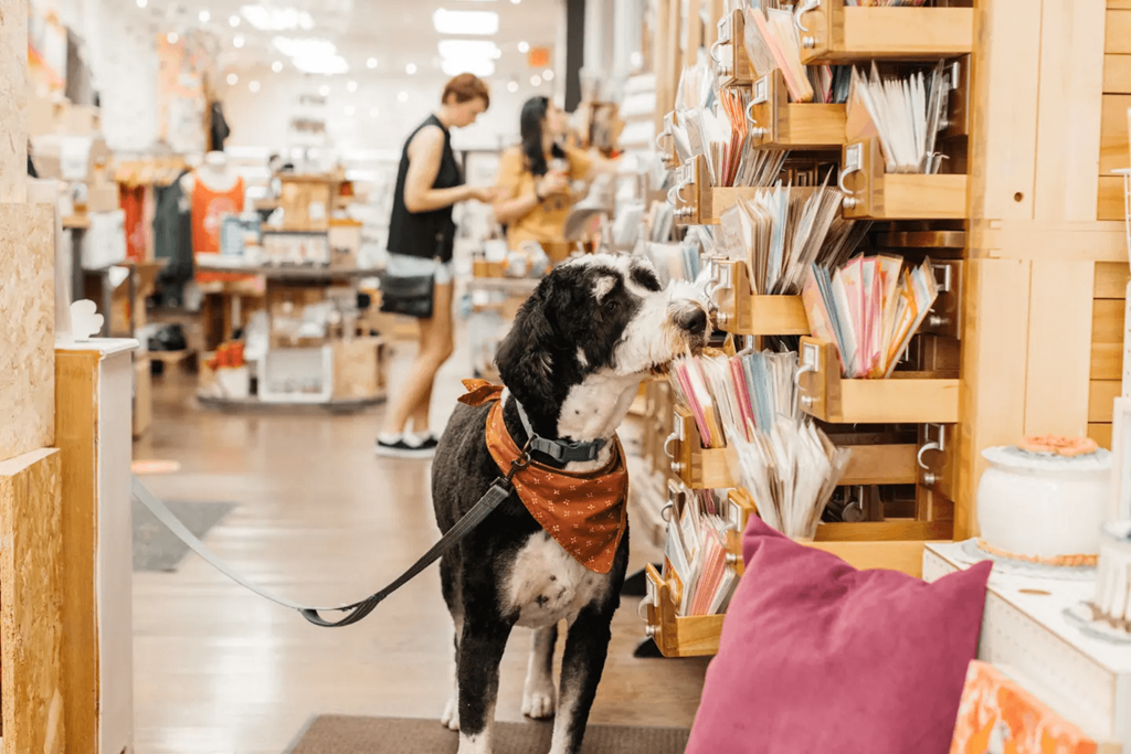 Daily's Market at Dillard Apartments in Fargo, ND 58102