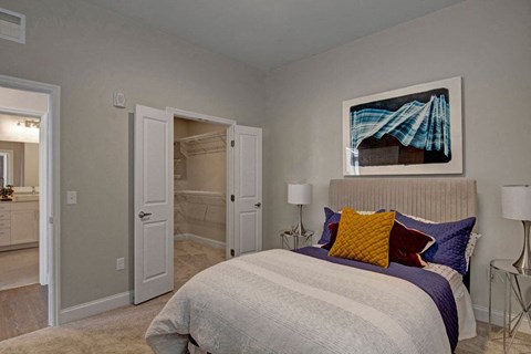 a bedroom with a bed and a closet