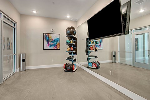 Ritz Classic Yoga and Stretching Room, Weidner Real Estate Properties