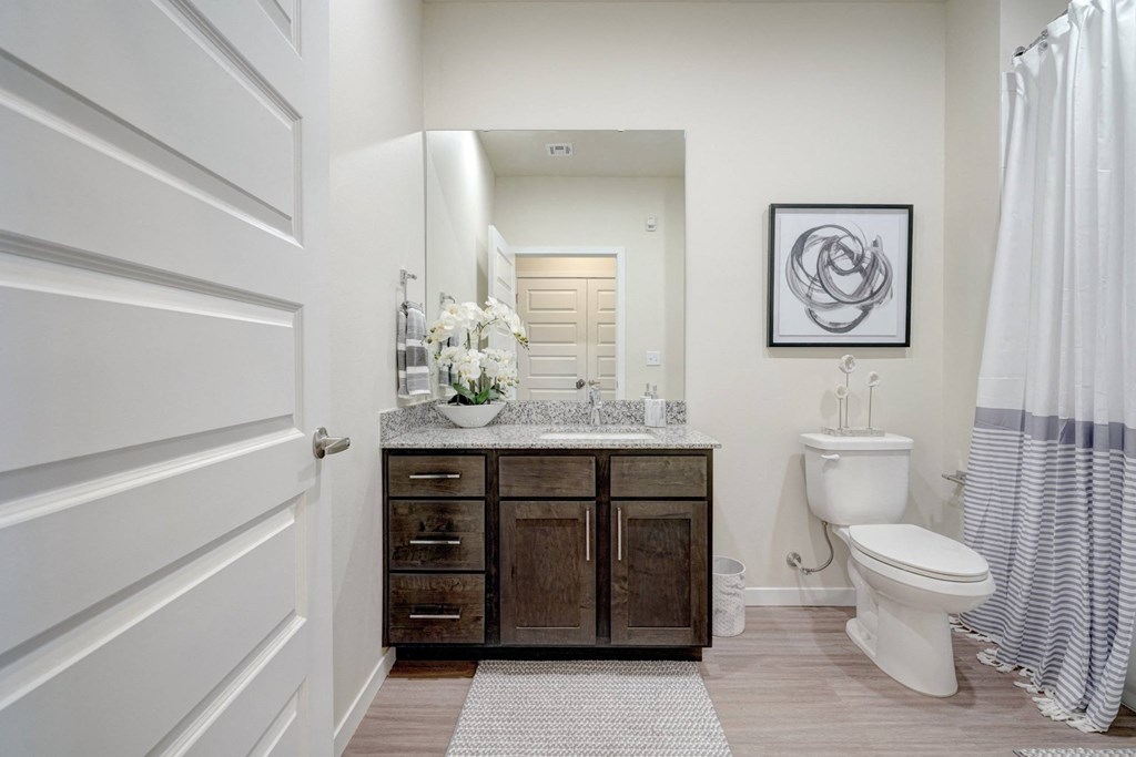 a bathroom with a toilet and a sink and a mirror