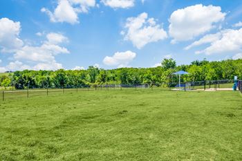 Harmony Luxury Disc Golf