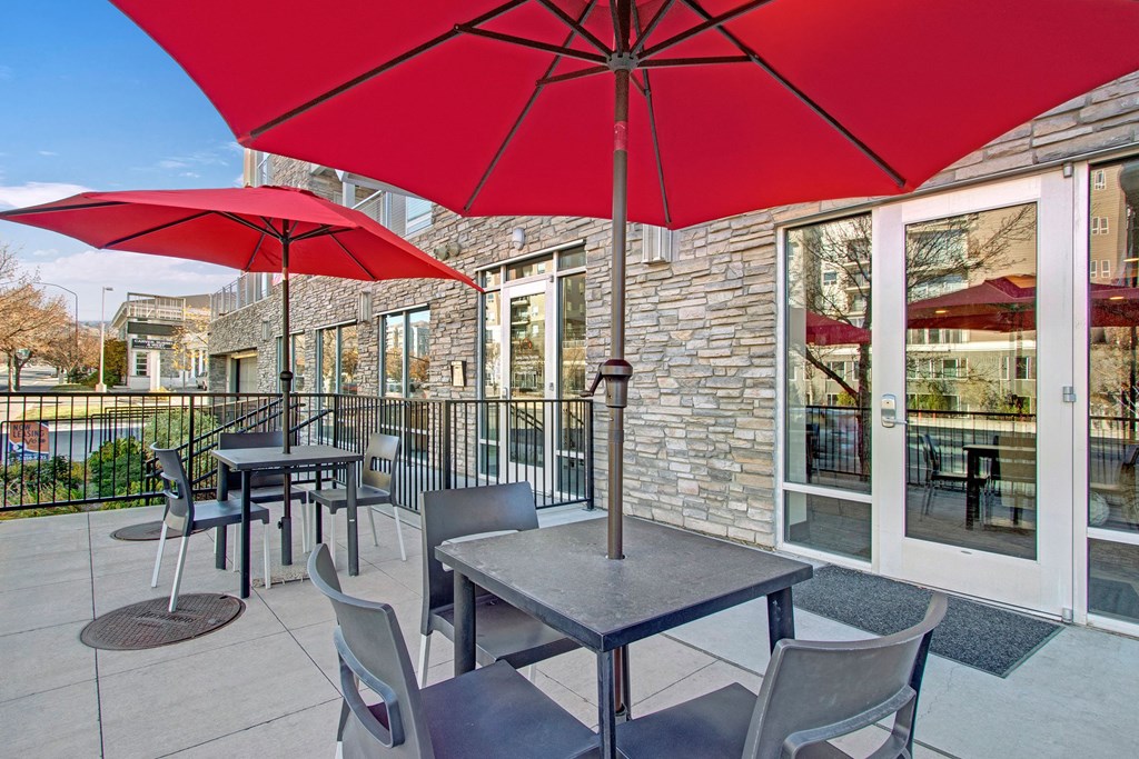 Velo On The Boulevard