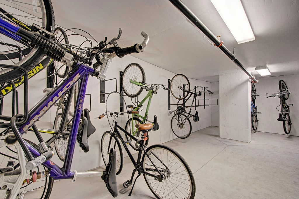 Velo On The Boulevard