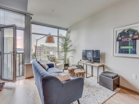 A living room with a grey couch and a television.
