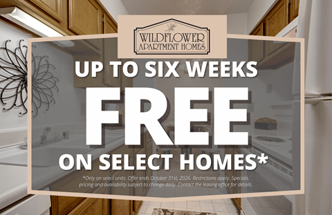 A promotional image for Wildflower Apartment Homes advertising up to six weeks free on select homes.
