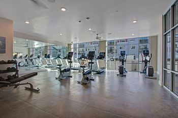 Ritz Classic Fitness Center with Cardio Machines, Weidner Real Estate Properties