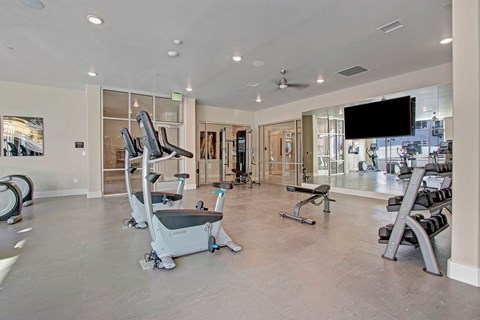 Ritz Classic Fitness Center with Free Weights