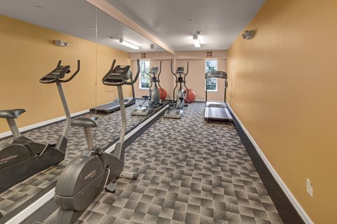 A small fitness room at Admirals Cove with patterned carpet flooring and mirrored walls. The space features an exercise bike, treadmill, and elliptical machines, along with stability balls near bright windows. Overhead lighting and bold wall color create an energizing place for a quick workout.