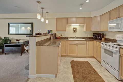 A kitchen with a brown rug on the floor.