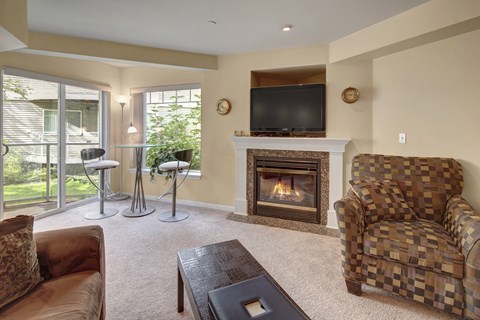 A living room with a fireplace and a television.