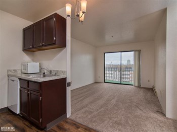 The Outlook Apartment kitchen and living room space The Outlook Apartment kitchen with hardwood floors with carpet living room - Photo Gallery 3