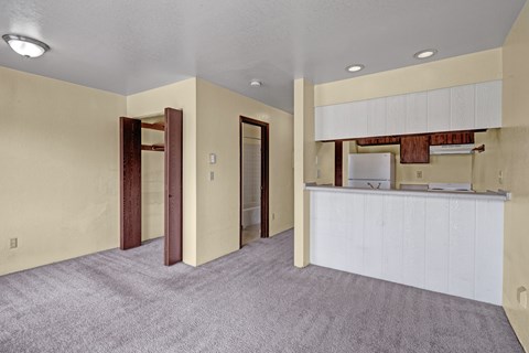 A room with a white counter and brown doors.