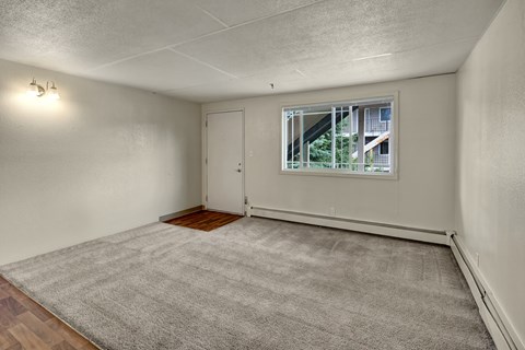 A bright, open living room here at College View featuring soft carpet flooring, neutral wall tones, and a large window that brings in natural light. The space includes a dedicated entry area, baseboard heating, and a flexible layout that easily accommodates seating and entertainment furniture for comfortable everyday living.