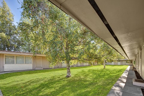 A row of houses with trees in front of them.
