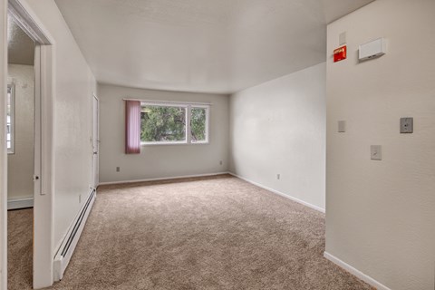 A bright living room here at Driftwood featuring soft neutral carpeting, smooth light-toned walls, and a wide window that brings in natural light and leafy outdoor views, creating an open and inviting space ideal for relaxing, entertaining, or flexible furniture arrangements.