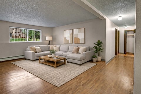 A living room with a white couch, a wooden coffee table, and a rug.