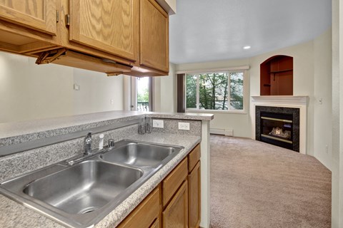 A kitchen with a sink and a fireplace.