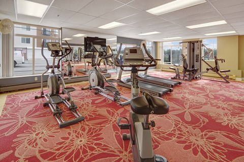 A gym with a red carpet and various exercise machines.