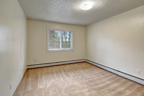 A room with a window and carpeted floor.