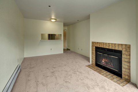 A living room with a fireplace and a carpet.