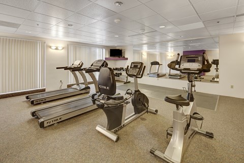 A gym with treadmills, elliptical machines, and stationary bikes.