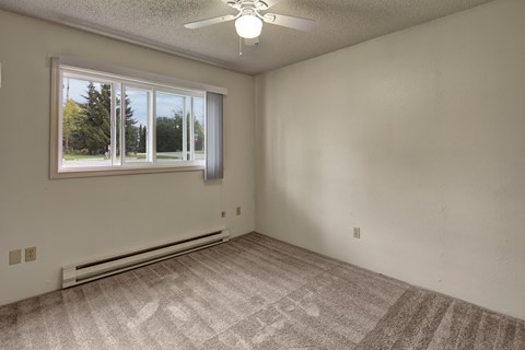 A room with a carpeted floor, a ceiling fan, and a window with a view of trees outside.