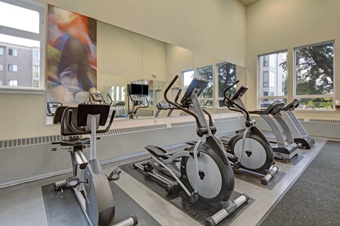 A bright fitness room at The Alpine featuring treadmills, ellipticals, and a stationary bike lined up before a full wall mirror. Large windows bring in natural light and offer views of the community grounds, while high ceilings and simple flooring create an open, airy workout environment.