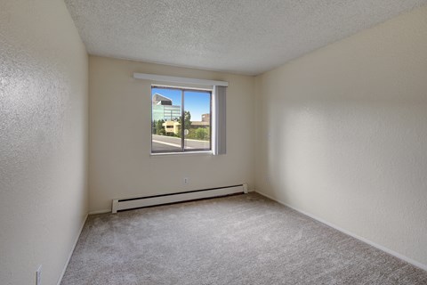 A bright bedroom here at The Continental featuring neutral wall tones, plush carpeted flooring, and a large window that brings in natural light, creating a simple and comfortable space with room for flexible furniture placement.