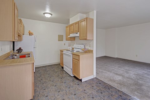 A kitchen with a white fridge, wooden cabinets, and a white dishwasher.