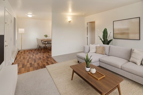 A living room with a couch, coffee table, and a plant.