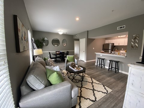 A living room with a grey couch and a black and white rug.