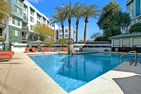 A swimming pool surrounded by palm trees and sun loungers.