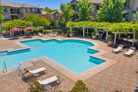 A resort-style outdoor pool here at Artisan 8282 featuring a large sparkling swimming pool with geometric edges, surrounded by spacious paver decking, lounge chairs, shaded pergolas with greenery, and umbrellas, all set within a landscaped courtyard framed by mature trees and nearby apartment buildings under a clear blue sky.