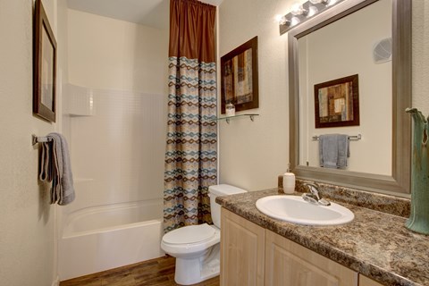 A bathroom with a toilet, sink, and shower.
