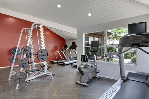 A well-equipped fitness center here at Desert Horizon featuring tile flooring, large windows with courtyard views, and a bold accent wall. The space includes treadmills, a stationary bike, and a weight rack with plates, providing options for both cardio and strength training in a bright, motivating environment.