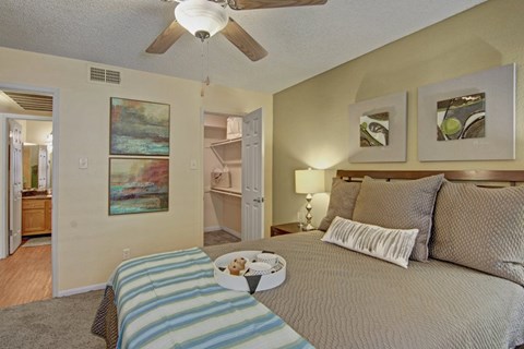 A comfortable bedroom here at Desert Horizon featuring soft carpet, warm neutral walls, and a ceiling fan with light. A spacious bed with layered bedding sits beside a nightstand and lamp, while wall art adds character. An open doorway leads to a walk-in closet and attached bathroom, creating a functional and private retreat.