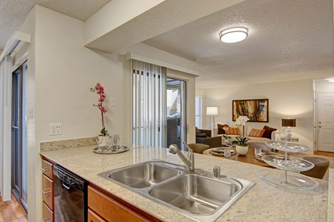 A kitchen with a sink and a dishwasher.