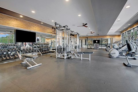 A spacious gym with a variety of equipment including treadmills, weights, and exercise machines.