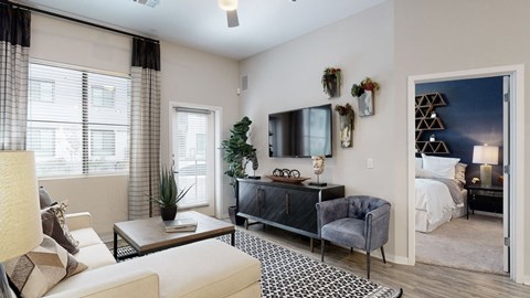 A living room with a grey couch and a black and white rug.
