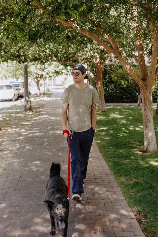 a man walking his dog on a sidewalk